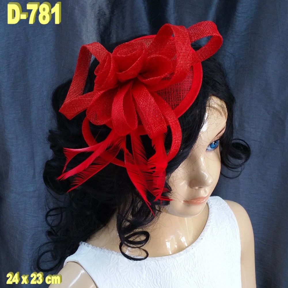 D-781 (1)